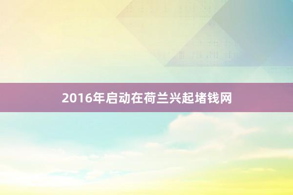 2016年启动在荷兰兴起堵钱网