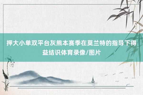 押大小单双平台　　灰熊本赛季在莫兰特的指导下得益结识体育录像/图片