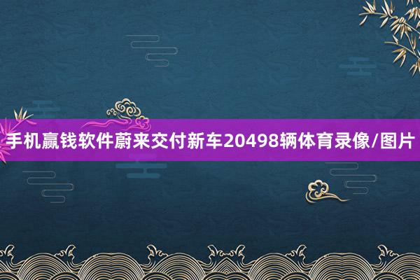 手机赢钱软件蔚来交付新车20498辆体育录像/图片