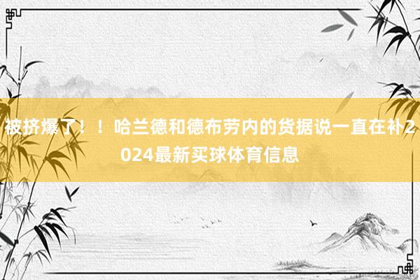 被挤爆了！！哈兰德和德布劳内的货据说一直在补2024最新买球体育信息