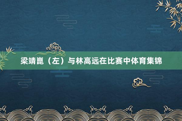 梁靖崑（左）与林高远在比赛中体育集锦